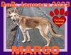 MARGO - FOSTERED in S. Maine
