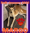MARGO - FOSTERED in S. Maine