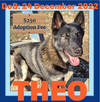THEO - $250