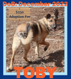 TOBY - $250