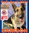 SAMSON - $250