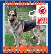 SAMSON - $250