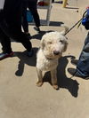 LIL-BETH - bonded with Pheobe