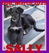 SALLY
