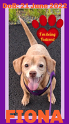 FIONA - Fostered in Dexter
