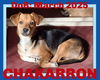 CHAKARRON