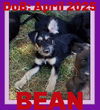 BEAN