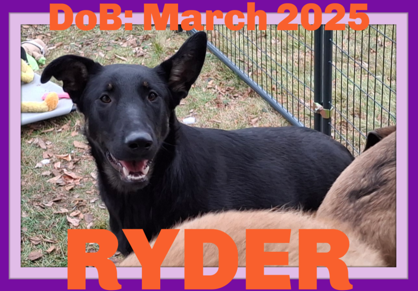 RYDER