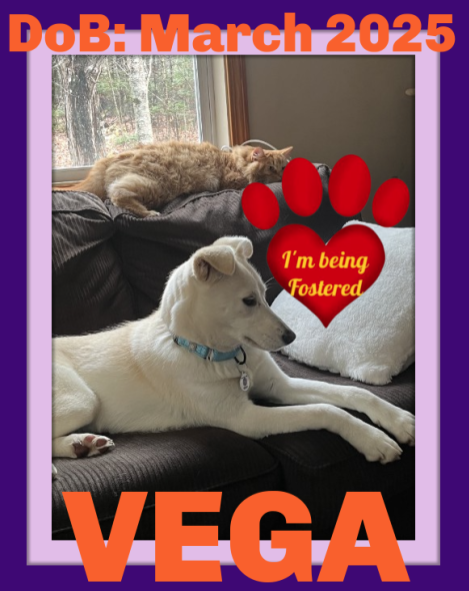 VEGA