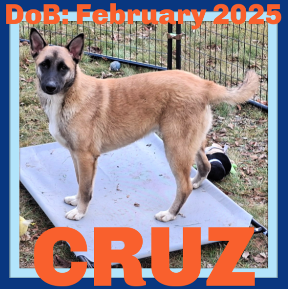 CRUZ