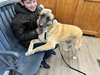 CRUZ - Fostered Bangor, ME