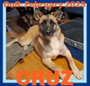 CRUZ