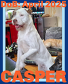 CASPER