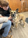 CLARA BELLE - Fostered Bangor, ME