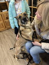 CLARA BELLE - Fostered Bangor, ME