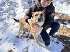CLARA BELLE - Fostered Bangor, ME