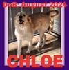 CHLOE