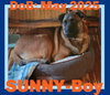 SUNNY-Boy