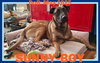 SUNNY-Boy
