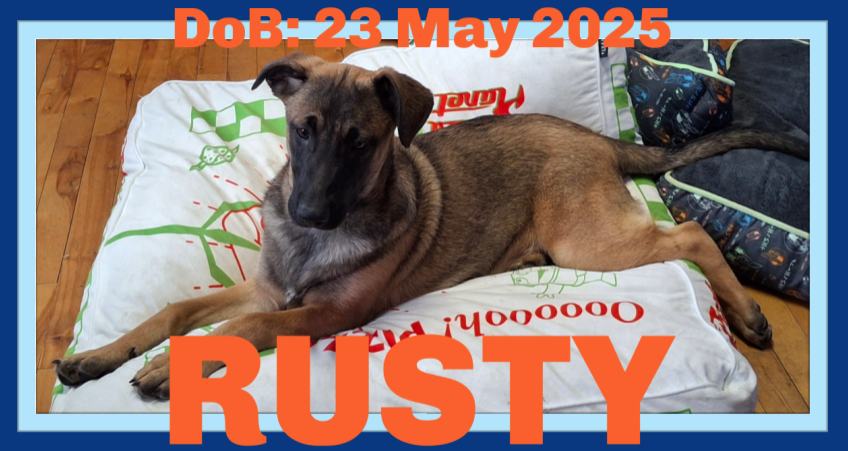 RUSTY
