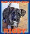 RIGBY