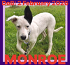 MONROE