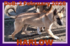 HARLOW