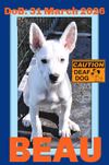 BEAU - Deaf Puppy