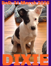 DIXIE