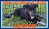 JASPER