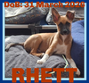 RHETT
