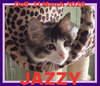 JAZZY