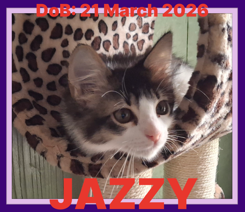 Jazzy