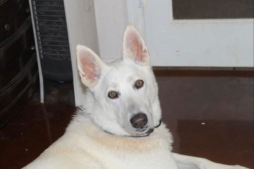 LUCY