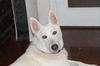 LUCY