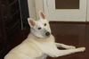LUCY