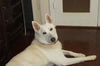 LUCY