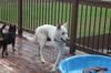 LUCY