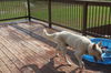 LUCY