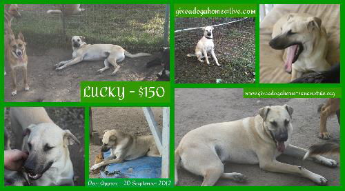 LUCKY