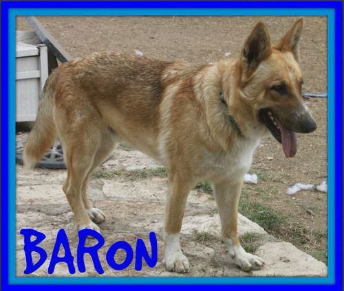 BARON