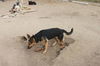WILLOW - $300