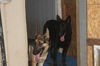LUNA - $350