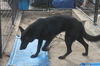 LUNA - $350
