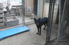 LUNA - $350