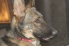 STARLA