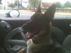 STARLA