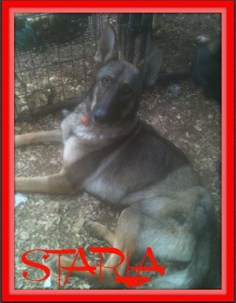 STARLA