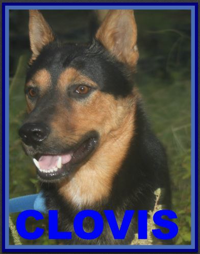 CLOVIS - located in Connecticut