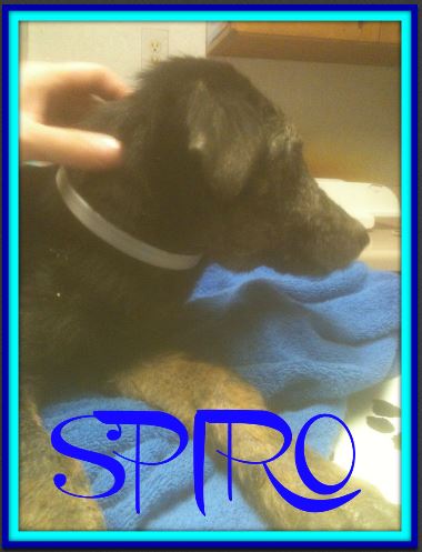 SPIRO